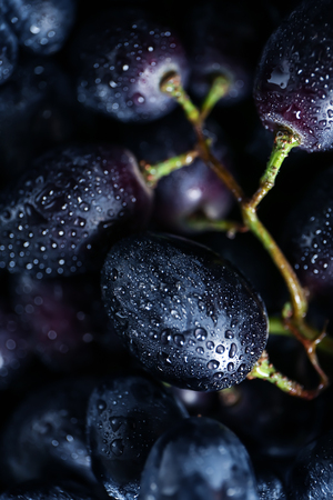 Ripe sweet grapes, closeupの写真素材