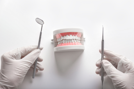 Dentist with artificial jaw and dental tools on white background