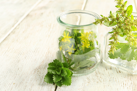 Jars with plants on white wooden tableの写真素材