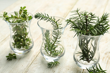 Glasses with plants on white wooden tableの写真素材