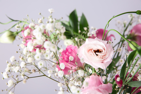 Beautiful pink flowers on light background, closeupの写真素材
