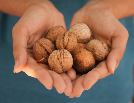 Woman holding tasty walnuts, closeupの写真素材