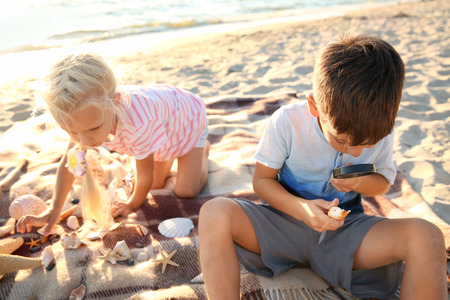 Cute little children playing with sea shells on beachの写真素材