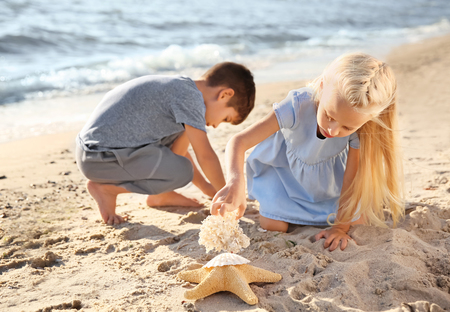 Cute little children gathering sea shells on beachの写真素材