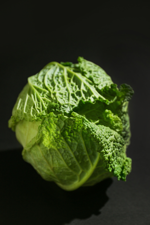 Fresh savoy cabbage on dark backgroundの写真素材
