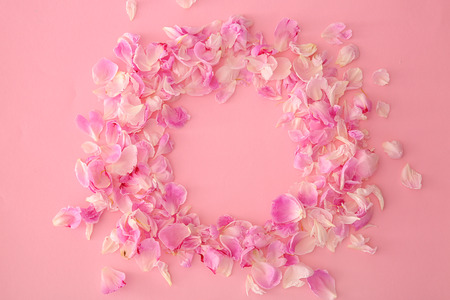 Frame made of flower petals on color backgroundの写真素材