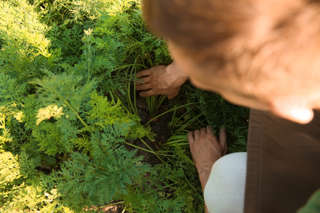 Male farmer working in field on sunny dayの写真素材