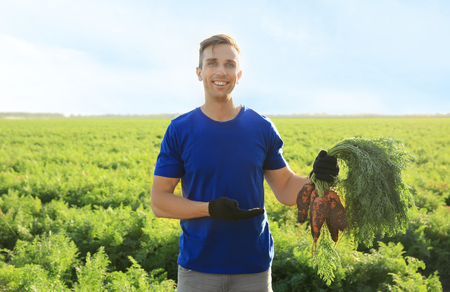 Male farmer with gathered carrot in fieldの写真素材