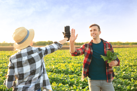 Farmers giving each other high-five in fieldの写真素材