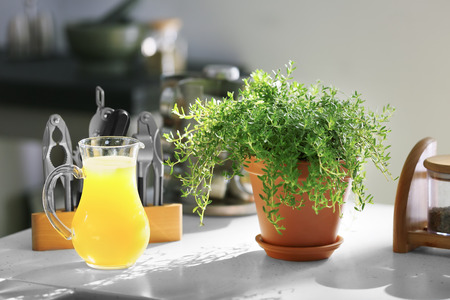 Pot with fresh thyme and jug of orange juice on table in kitchenの写真素材