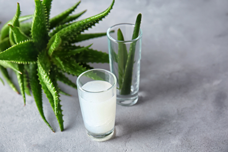 Glass with fresh aloe vera juice and green plant on grey tableの写真素材