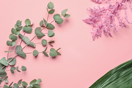 Tropical plants on color backgroundの写真素材