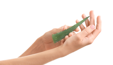 Hands of beautiful young woman with aloe vera on white backgroundの写真素材
