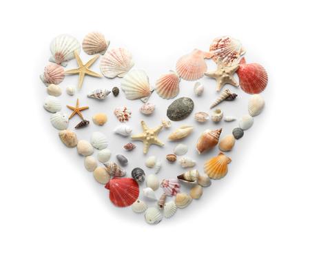 Heart made of different sea shells on white backgroundの写真素材