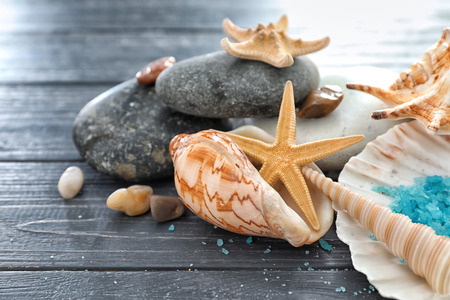 Different sea shells and stones on wooden backgroundの写真素材