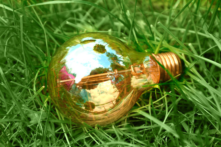 Light bulb in green grassの写真素材