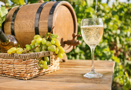 Pouring of white wine into glass on table in vineyardの写真素材