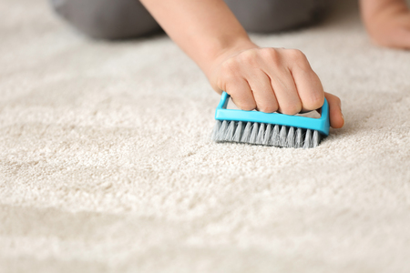 Woman cleaning carpet with brush at homeの写真素材