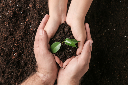 Male and female hands holding soil with green plantの写真素材