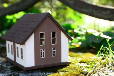 Model of house on green moss. Ecology conceptの写真素材