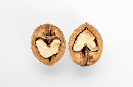 Halves of walnut on white backgroundの写真素材