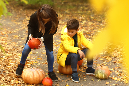 Cute little children with pumpkins in autumn parkの写真素材