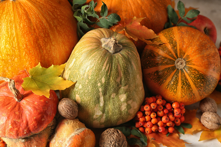 Different fresh pumpkins with walnuts and berries on light tableの写真素材