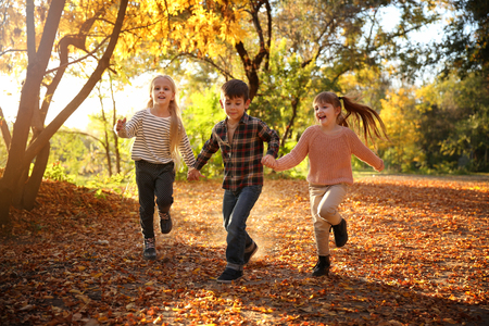 Cute little children having fun in autumn parkの写真素材