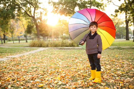 Cute little boy with colorful umbrella in autumn parkの素材 [FY310115546484]