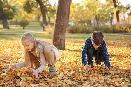 Children playing with leaves in autumn parkの写真素材