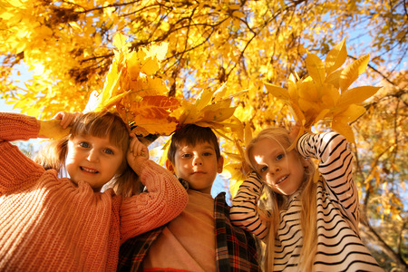Cute little children in autumn parkの写真素材