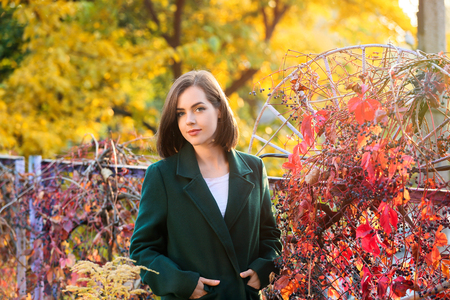 Beautiful young woman in autumn parkの写真素材