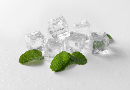 Ice cubes and mint leaves on white backgroundの写真素材
