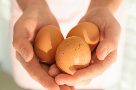 Woman holding brown chicken eggs, closeupの写真素材