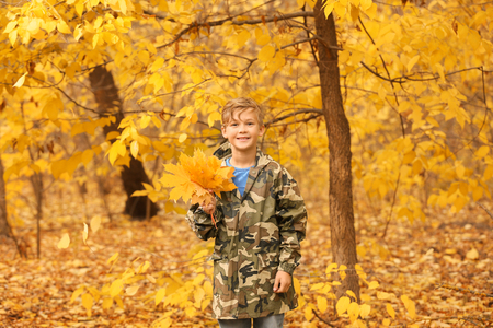 Cute little boy with leaves in park on autumn dayの写真素材