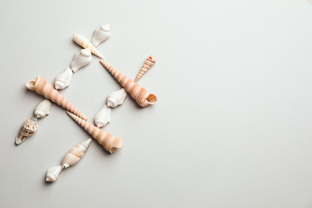 Hashtag sign made of sea shells on grey backgroundの写真素材