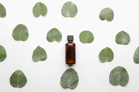 Bottle of eucalyptus essential oil and leaves on white backgroundの写真素材