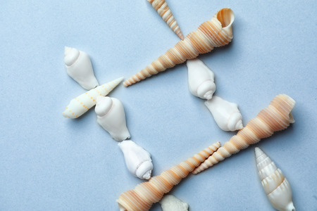 Hashtag sign made of sea shells on color backgroundの写真素材