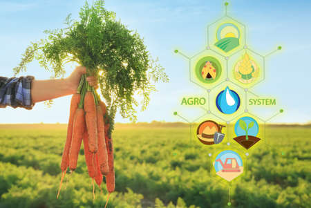 Female farmer with gathered carrots and icons of iot application. Smart farming and digital...