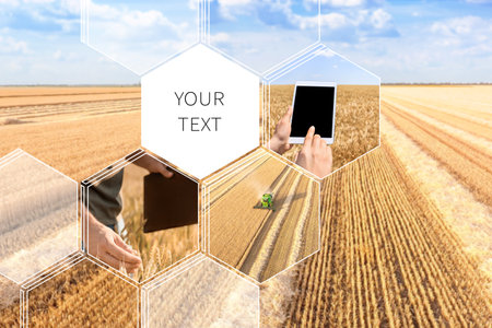 Farmer with tablet computer working in wheat field