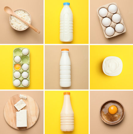 Set of different dairy products on color backgroundの写真素材