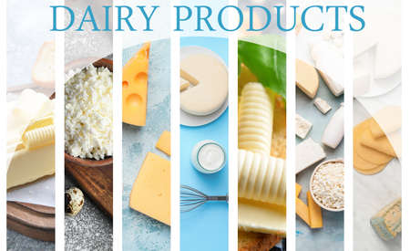 Collage of photos with different dairy productsの写真素材