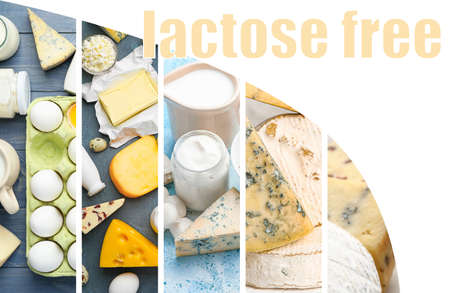 Collage of photos with different dairy products without lactoseの写真素材