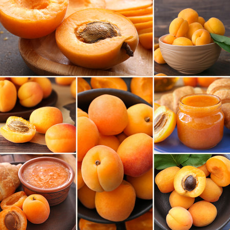 Collage of photos with ripe apricots and tasty jamの写真素材