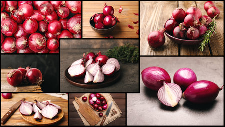 Collage of photos with fresh raw onionの写真素材