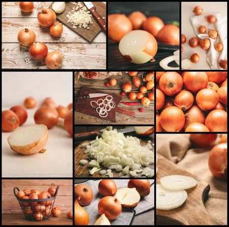 Collage of photos with fresh raw onionの写真素材