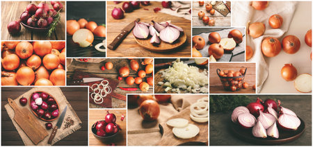 Collage of photos with different raw onionsの写真素材