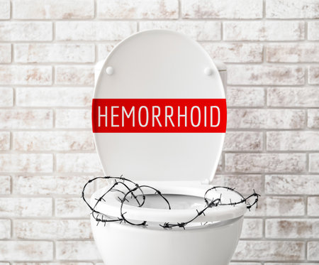 Toilet bowl with barbed wire on brick background. Hemorrhoids conceptの写真素材