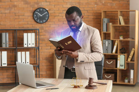 Lawyer reading book in office