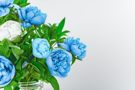 Beautiful peony flowers on light backgroundの写真素材